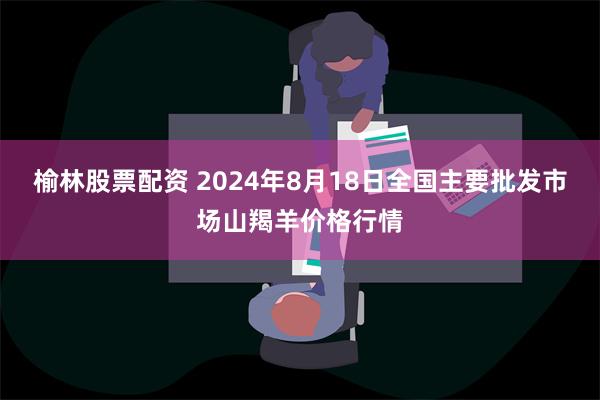 榆林股票配资 2024年8月18日全国主要批发市场山羯羊价格行情