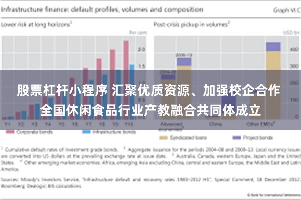 股票杠杆小程序 汇聚优质资源、加强校企合作 全国休闲食品行业产教融合共同体成立