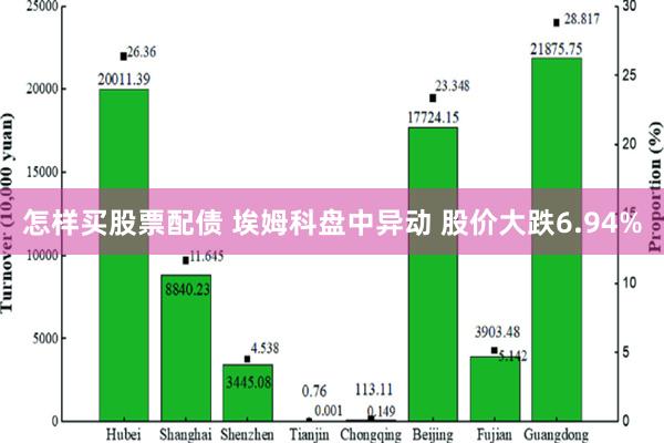 怎样买股票配债 埃姆科盘中异动 股价大跌6.94%