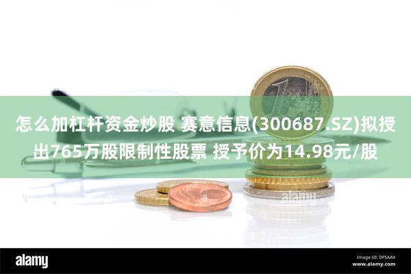 怎么加杠杆资金炒股 赛意信息(300687.SZ)拟授出765万股限制性股票 授予价为14.98元/股