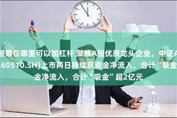 股票在哪里可以加杠杆 聚焦A股优质龙头企业，中证A500ETF(560510.SH)上市两日持续获资金净流入，合计“吸金”超2亿元