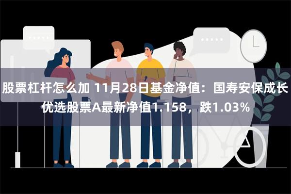 股票杠杆怎么加 11月28日基金净值：国寿安保成长优选股票A最新净值1.158，跌1.03%