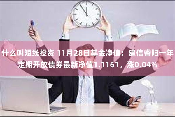 什么叫短线投资 11月28日基金净值：建信睿阳一年定期开放债券最新净值1.1161，涨0.04%