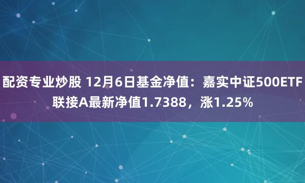 配资专业炒股 12月6日基金净值：嘉实中证500ETF联接A最新净值1.7388，涨1.25%